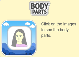 Body Parts Game